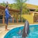 A trainer on the edge of a pool holds one hand up and blows a whistle while 3 dolphins spring out of the water